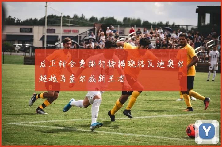 后卫转会费排行榜揭晓格瓦迪奥尔超越马奎尔成新王者